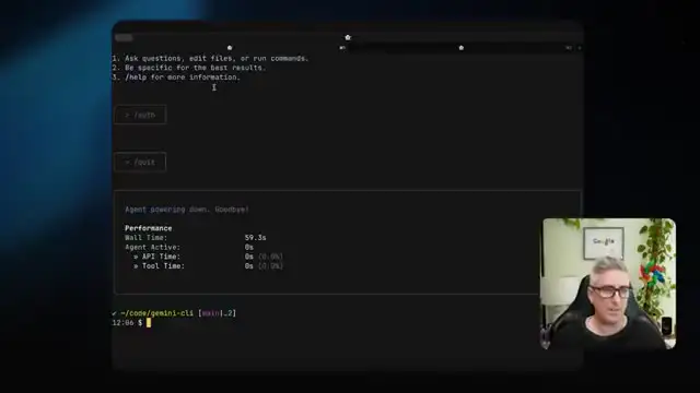 Gemini CLI official demo